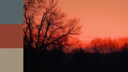 Warm orange sky at dusk