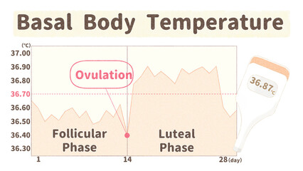 BBT chart and basal thermometer; degree Celsius PNG - obrazy, fototapety, plakaty