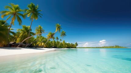 Tropical beach with palm trees and calm waters