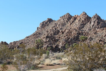 Incredible landscape photo of Joshua Tree National park, full of rock outcroppings and Joshua trees on a sunny day in Joshua Tree National Park, California, United States