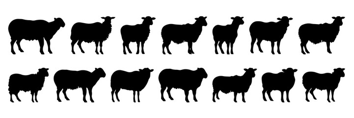 Naklejka premium Sheep silhouettes set, large pack of vector silhouette design, isolated white background