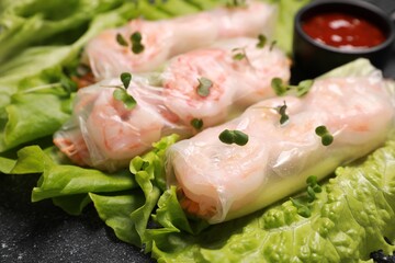 Tasty spring rolls served with lettuce and microgreens on grey textured table, closeup