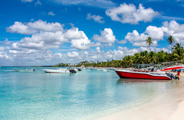 Fototapeta premium Dominican Republic, beautiful Caribbean coast with turquoise water and palm trees.