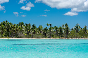 Dominican Republic, beautiful Caribbean coast with turquoise water and palm trees.