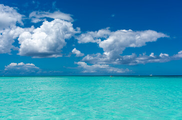 Fototapeta premium Dominican Republic, beautiful Caribbean coast with turquoise water and palm trees.