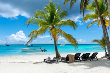 Dominican Republic, beautiful Caribbean coast with turquoise water and palm trees.