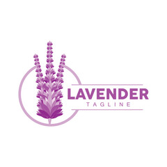 Lavender Logo, Hand Drawn Wedding Plant Design, Agriculture Vector, Symbol Illustration Template Icon