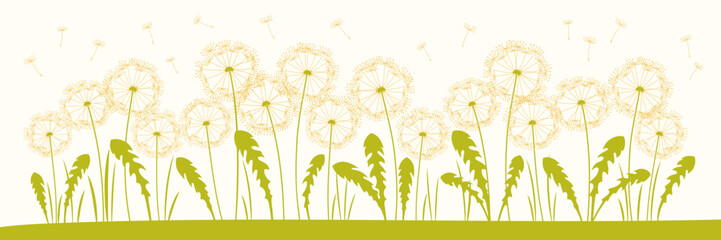 Dandelion summer illustration with flying seeds in meadow. Abstract flowers dandelions plants. Botany floral nature design for template postcard, poster invitation, flyer card, poster, cover vector