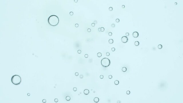 Top view closeup scene on moving pattern of bubble isolated on white background, fizz texture of soda drink when gas release, small air balloon flowing in the water