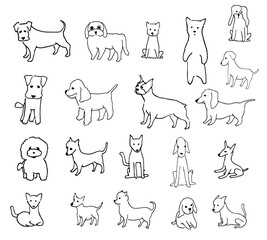 230418_개종류_원본