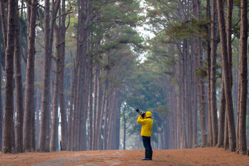 Photographer is taking photo of the new discovering bird species while exploring in the pine forest...