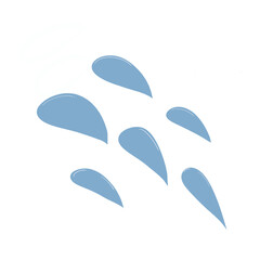 leaf and water drops