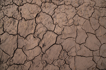 Dry cracked earth background, global warming, climate change concept