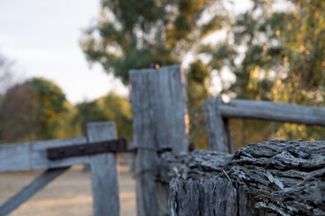 Old wooden fence with gate in front of a tree - closeup of the fence paling