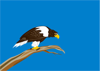 青空の下、オオワシが木に止まっているイラスト