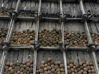 images of oranges waiting at the sales counter