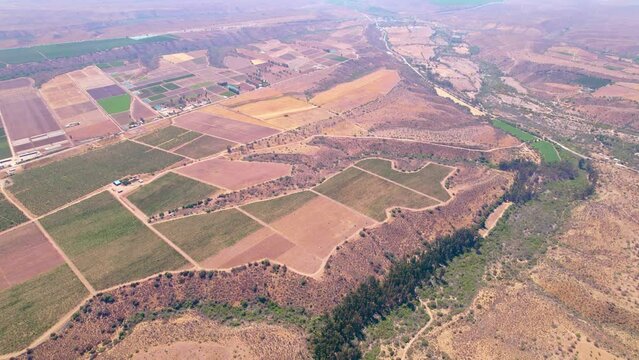 Aerial orbit establishing of vineyard plantations in the Limar&iacute; Valley, Chile. Sunny day, area with severe water shortage.