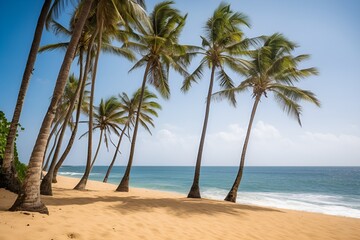 Fototapeta na wymiar palm trees on the beach, an island of palm trees