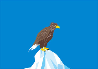 青空の下、流氷に止まっているオジロワシのイラスト
