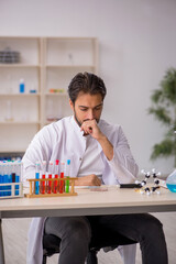 Young male chemist working at the lab