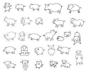 돼지의 여러가지 자세와 모양