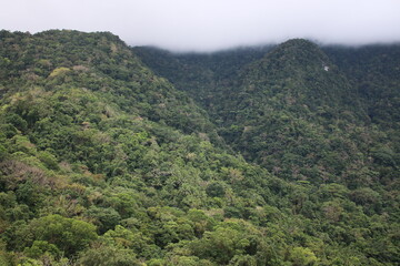 Tropical landscape. Clouds over the jungle. Rain clouds over the top of a mountain covered with tropical rainforest.