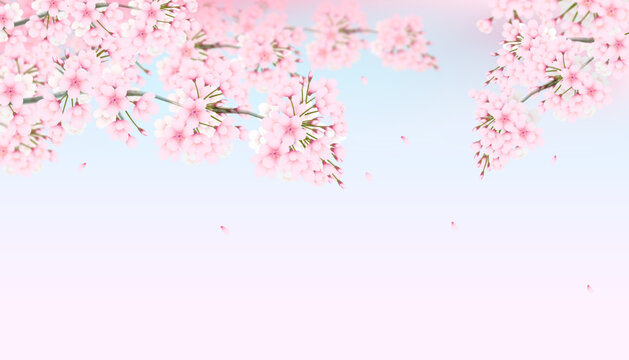 Vector pink fantasy sakura background