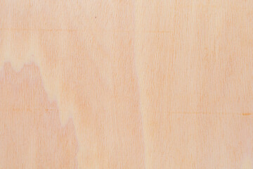 Light rough textured cut surface of an African tree. Wood background or blank for design