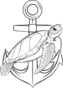 recommend clip art: monochrome Sea turtle. Drawing with black lines, marker. Vector illustration