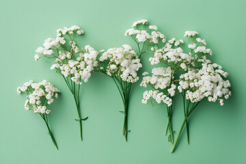 Small white gypsophila flowers on pastel green background, Women's Day, Mother's Day, Wedding concept, Flat lay, Generative AI
