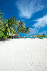 tropical Maldives island with white sandy beach and sea. palm