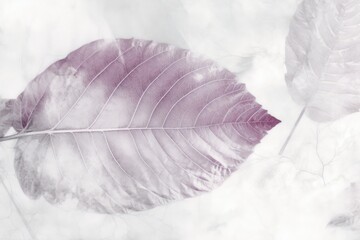 single purple leaf isolated on a white background. Generative AI