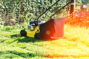 lawn mower on a sunny day, man mowing the lawn in the backyard