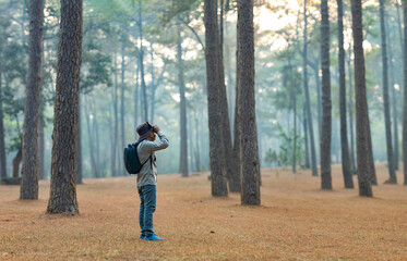 Bird watcher is looking through binoculars while exploring in the pine forest for surveying and...