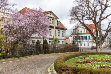 Fototapeta na wymiar Bilder aus Naumburg Burgenlandkreis