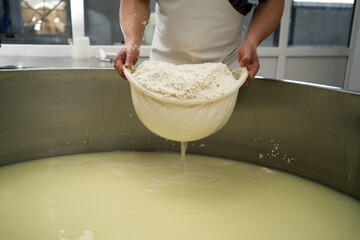 cheese production process, cheesemaker drain curd from whey. handmade healthy food manufacturing.