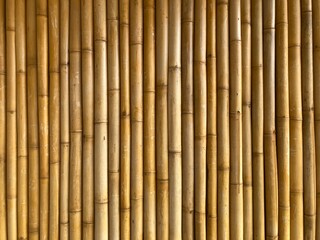 natural yellow-brown bamboo wood trunks attached together as a wall in full frame shot