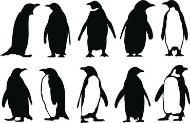 Fototapeta premium Set of penguin silhouettes. Penguin vector illustrations set.