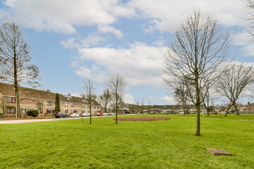 some trees and buildings in the distance with a blue sky over them on a sunny day at an urban neighborhood