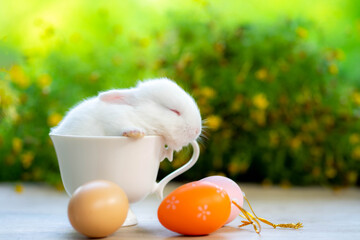 cute little white rabbit sleeping in a lovely cup with natural bokeh in the background. easter concept.