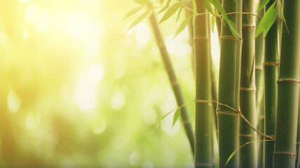Fototapeta na wymiar Natural background with bamboo. Illustration AI Generative.