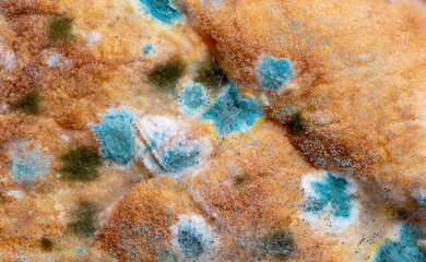 Mold on bread close-up macro. Mold on food. Fluffy mold spores as a background or texture. Mold fungus. Abstract background with copy space.