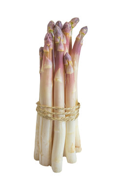 botte d'asperges &agrave; la verticale isol&eacute; sur un fond blanc