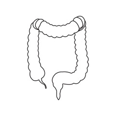 intestines icon