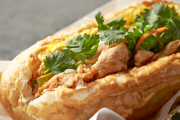 saigon baguette, vietnamese sandwich