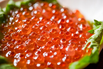 Fresh salmon roe on a plate