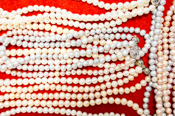 Natural sea pearls. A bunch of pearls on a red background, pearl strands close-up.