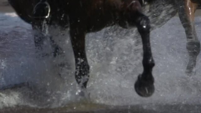 tracking shot of horses feet splashing water into the sea
