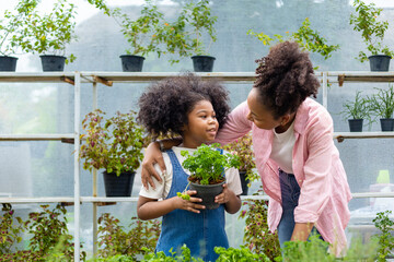 African mother and daughter is choosing vegetable and herb plant from the local garden center nursery with shopping cart full of summer plant for weekend gardening and outdoor concept