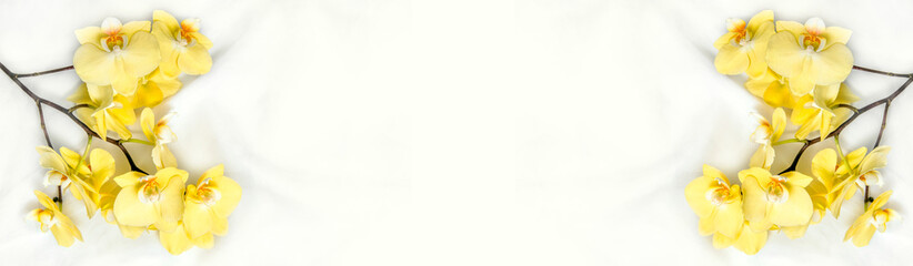 The branch of yellow orchids on white fabric background